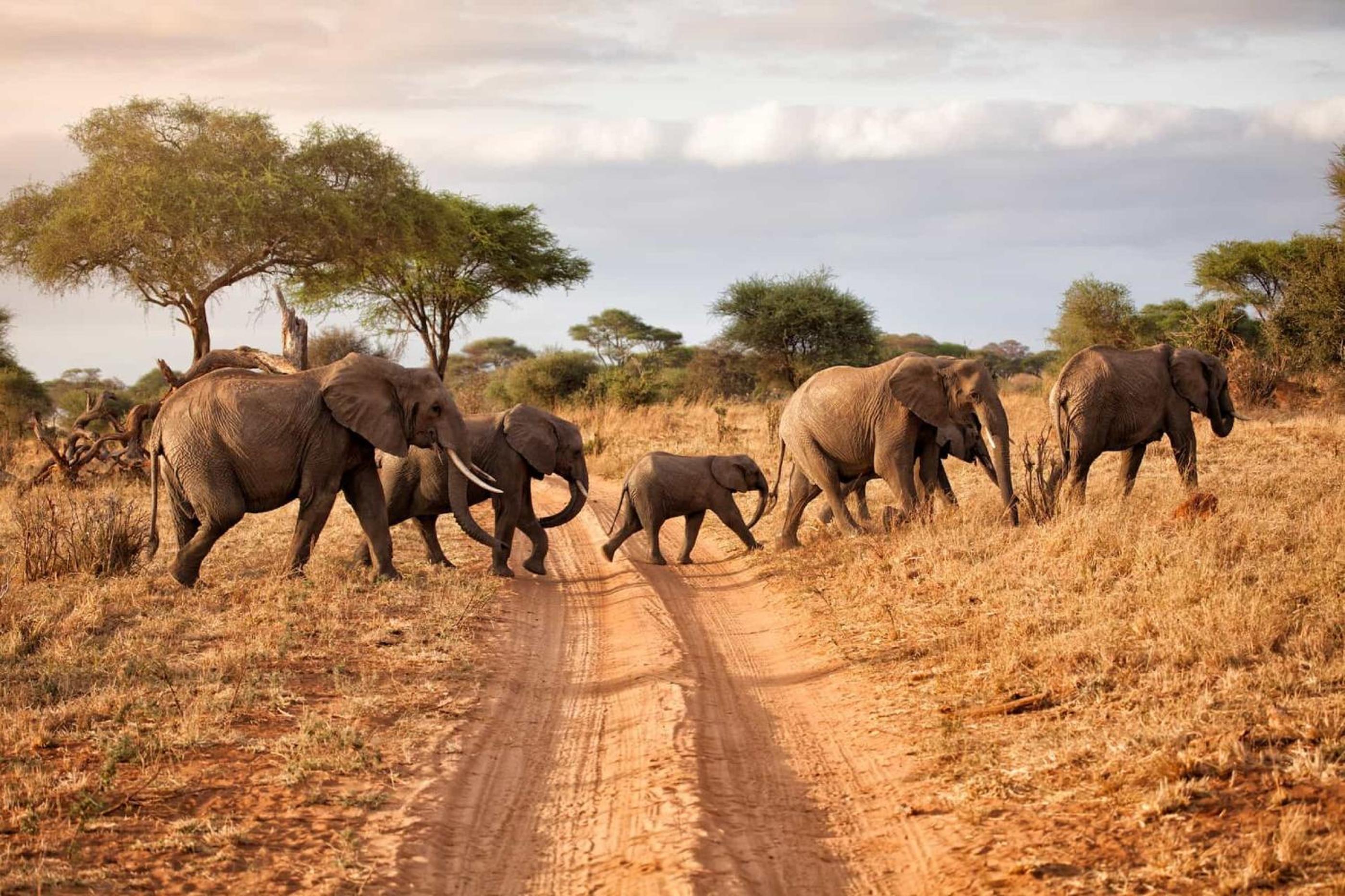 Kusudalweni Safari Lodge and Spa