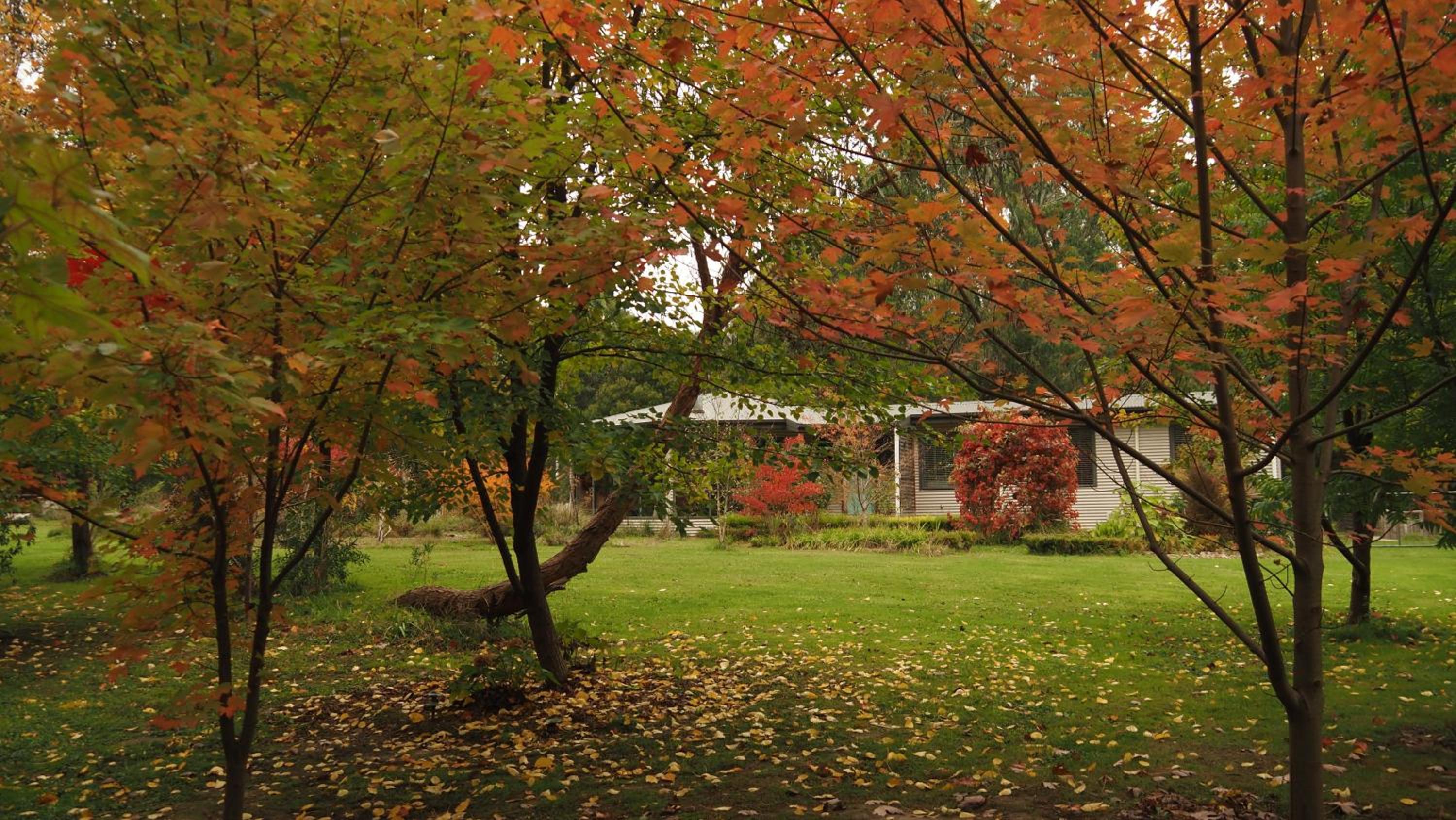 Blackwood Bush Retreat