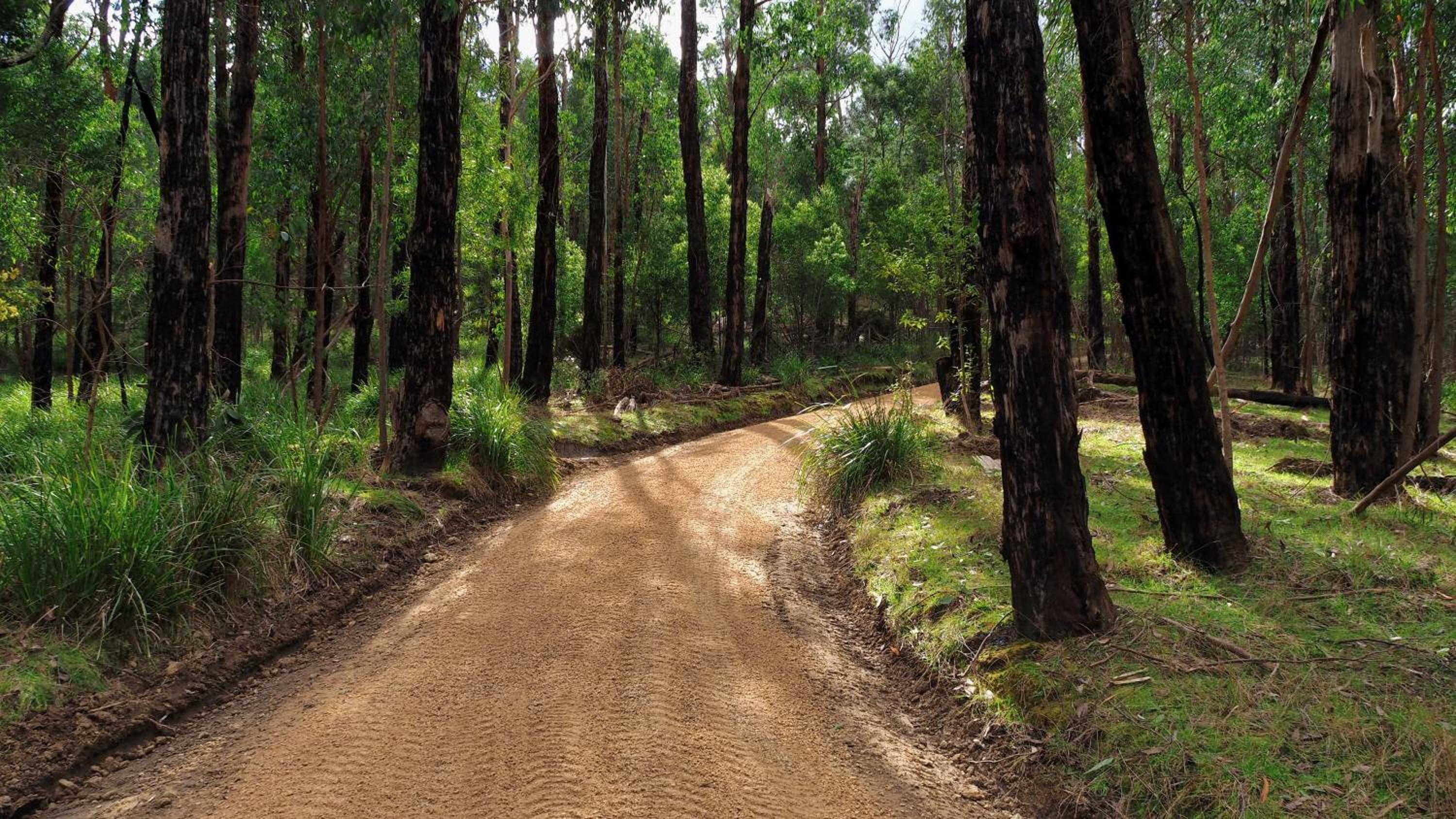 Blackwood Bush Retreat