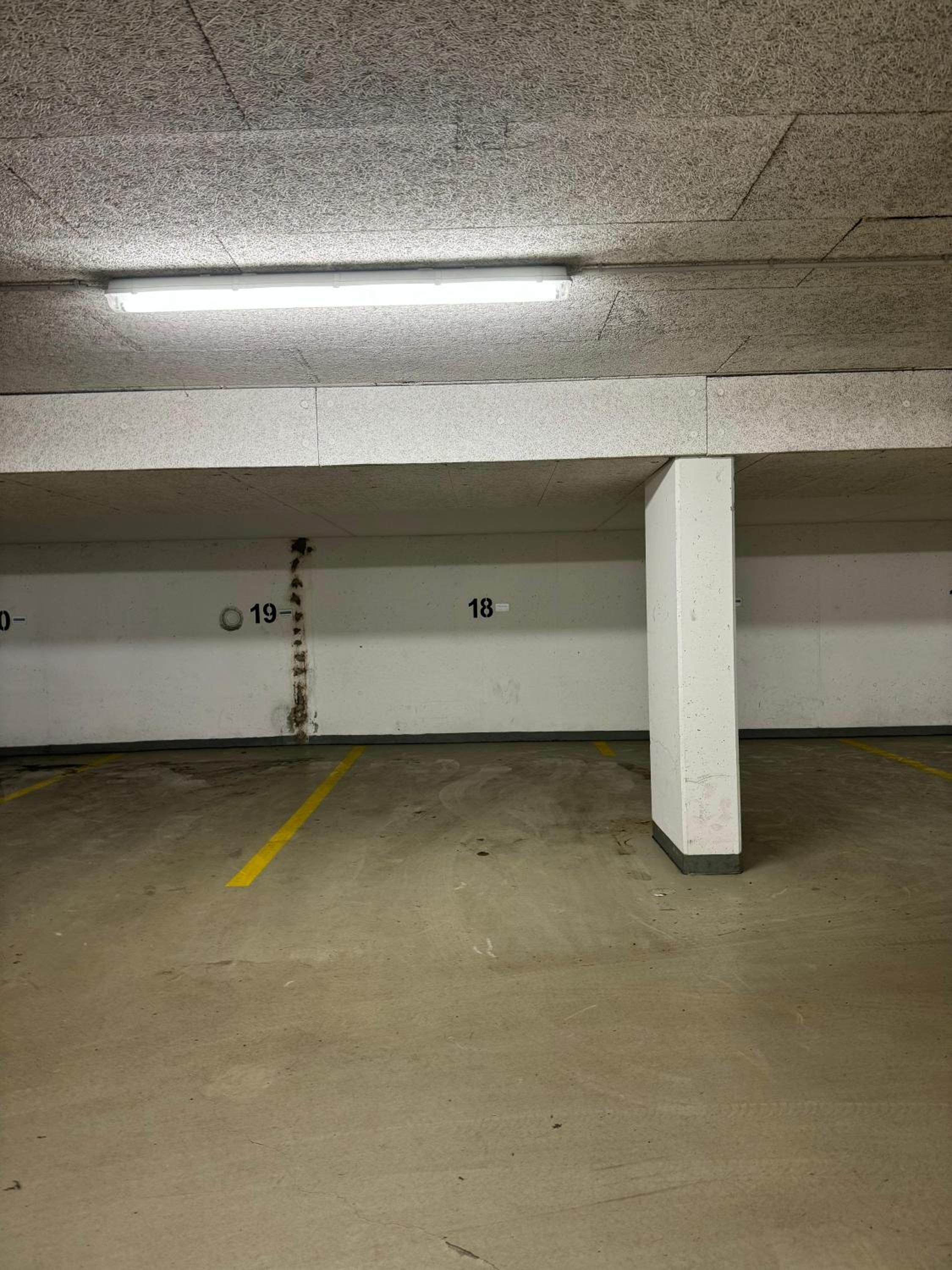 Reside in the Golden Wave
