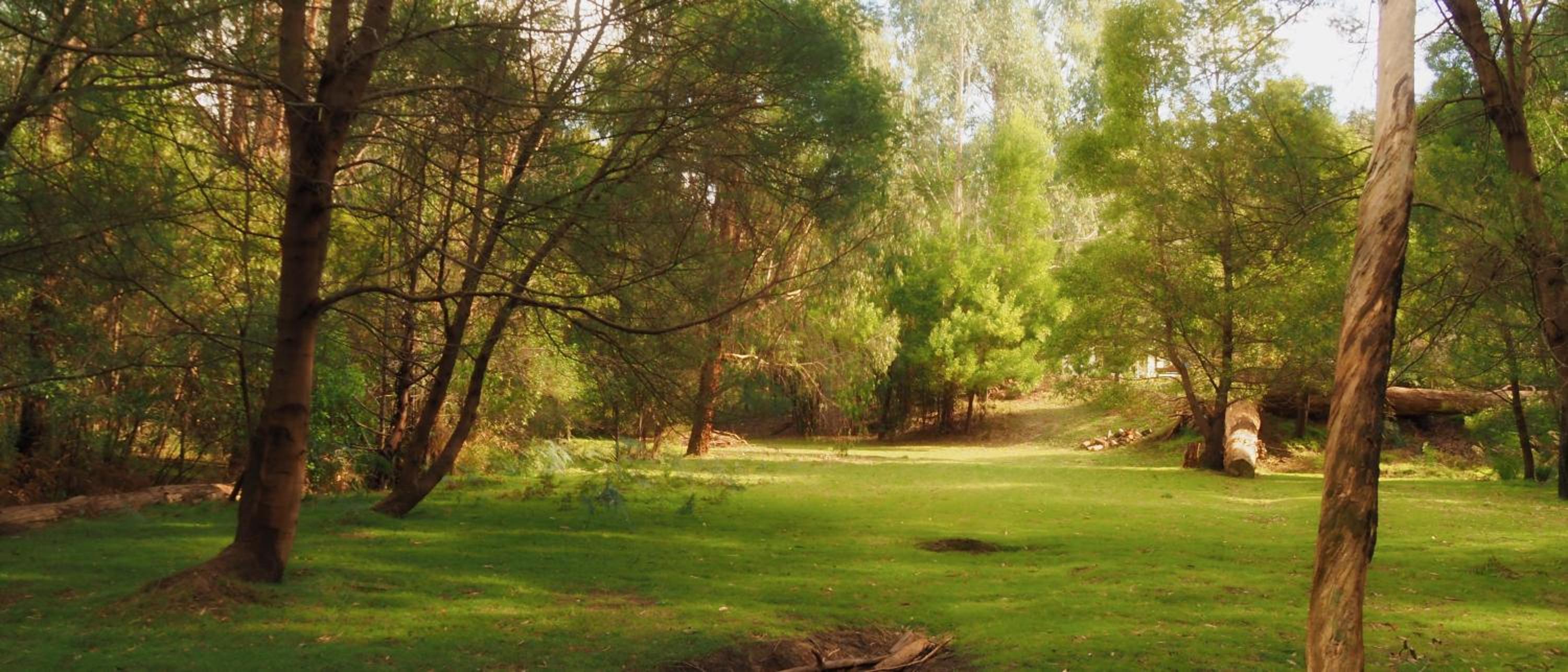 Blackwood Bush Retreat