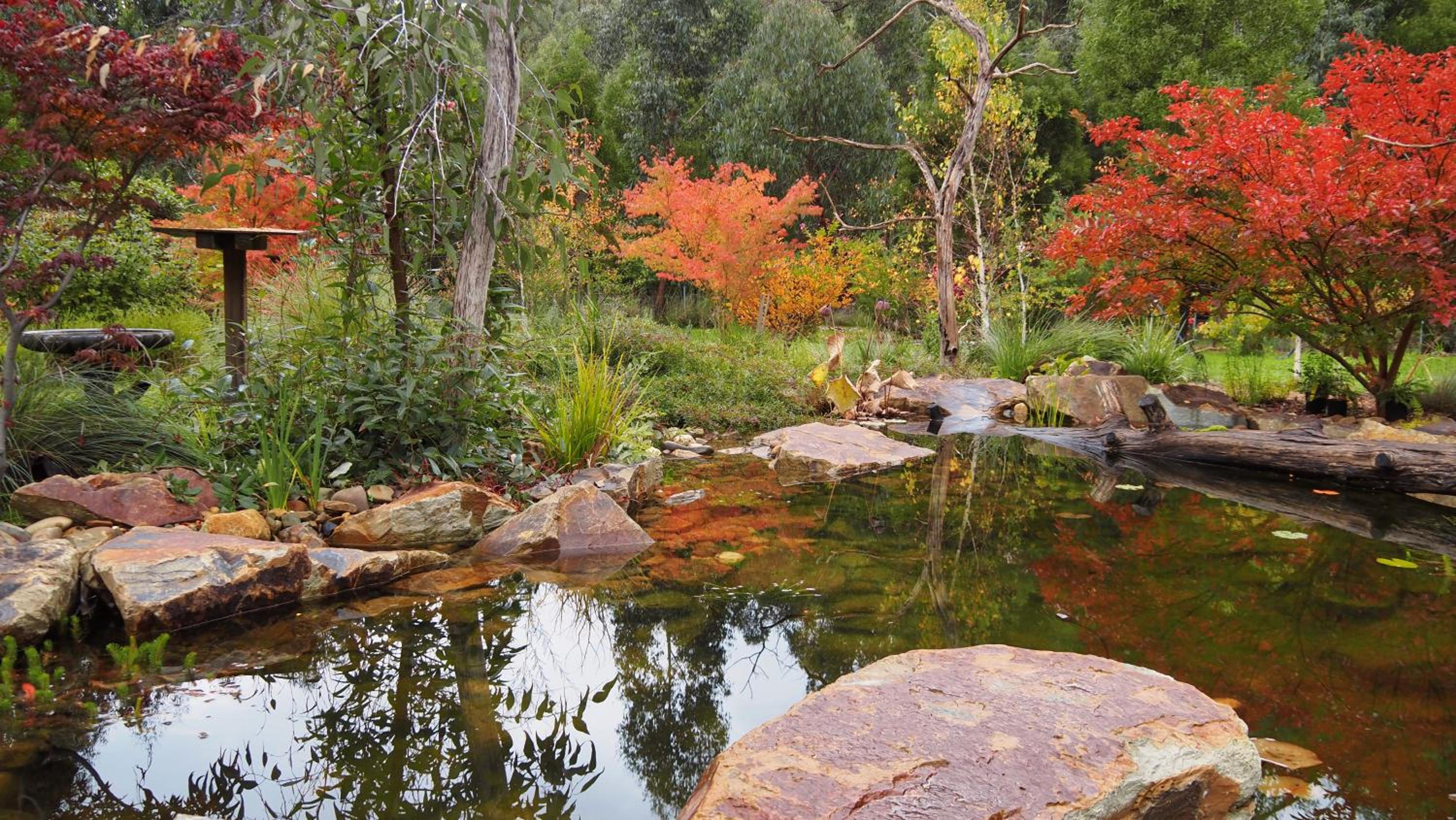 Blackwood Bush Retreat