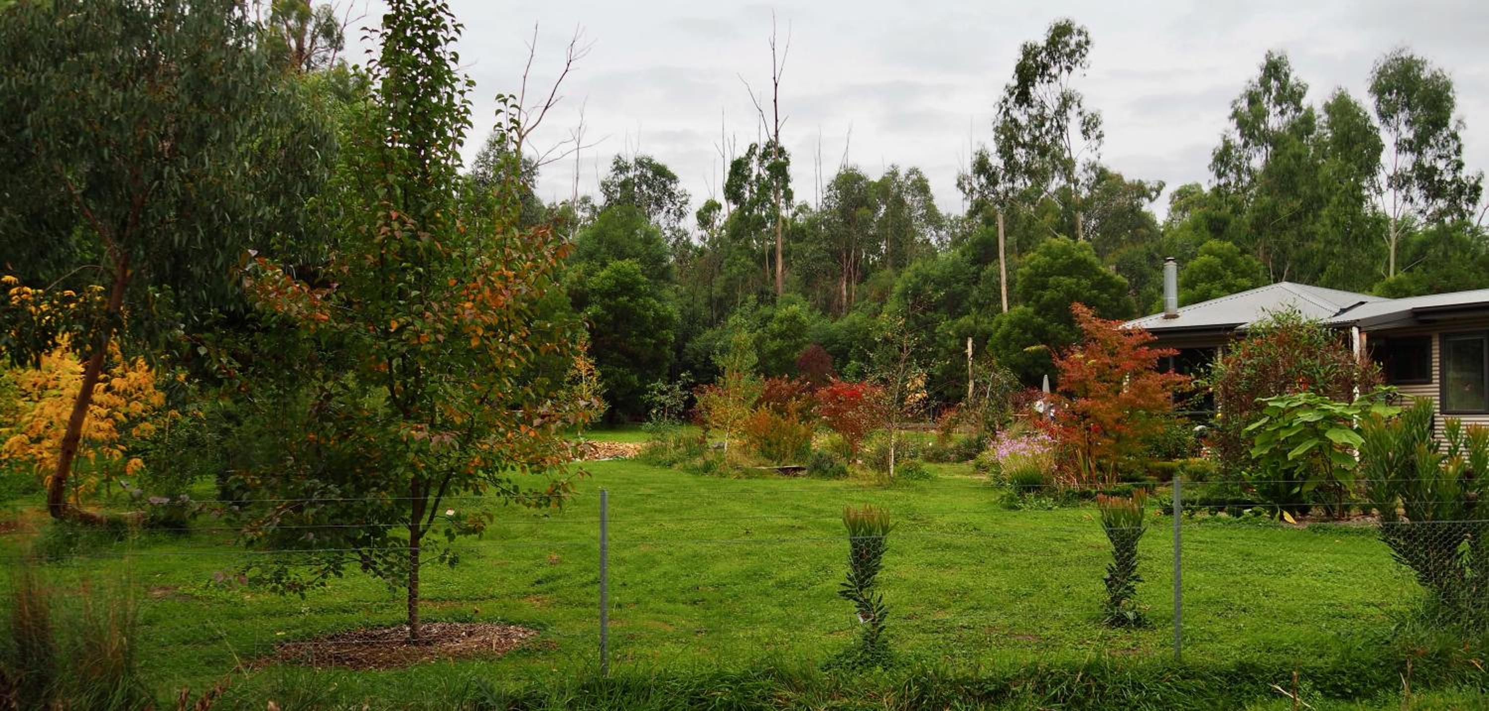 Blackwood Bush Retreat