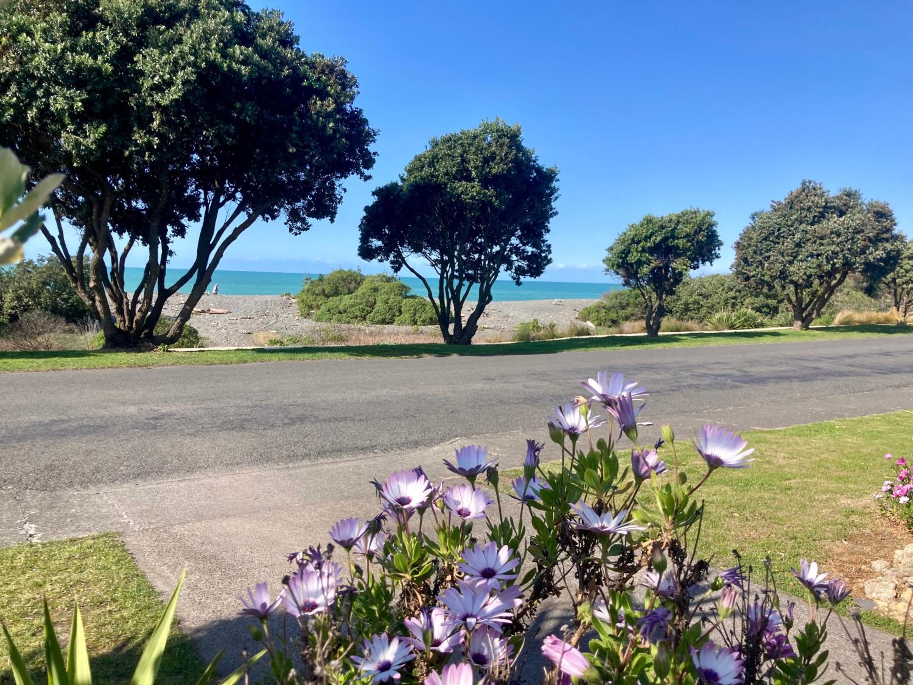 Oceanside oasis