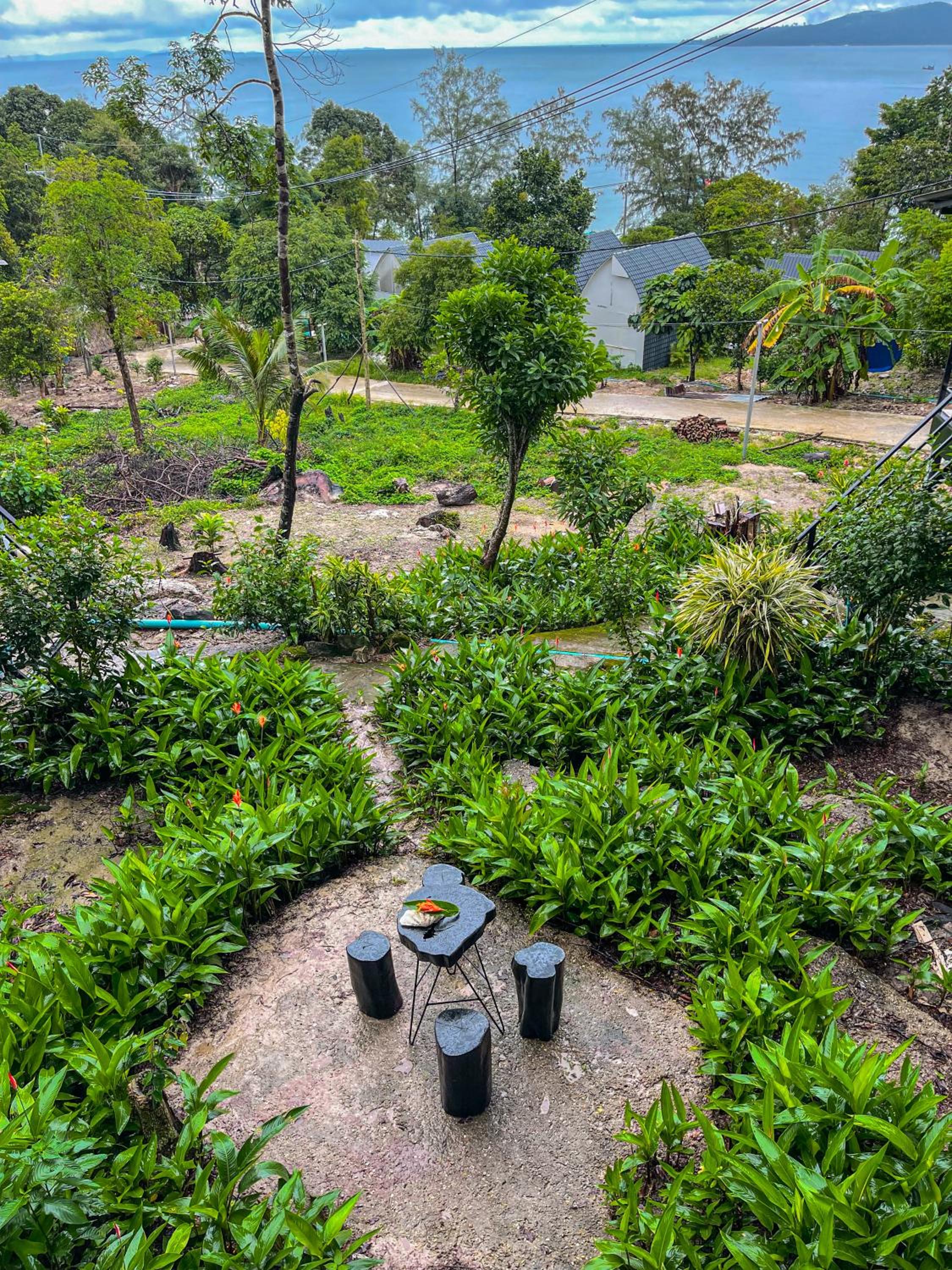 Ocean Lounge Bungalow
