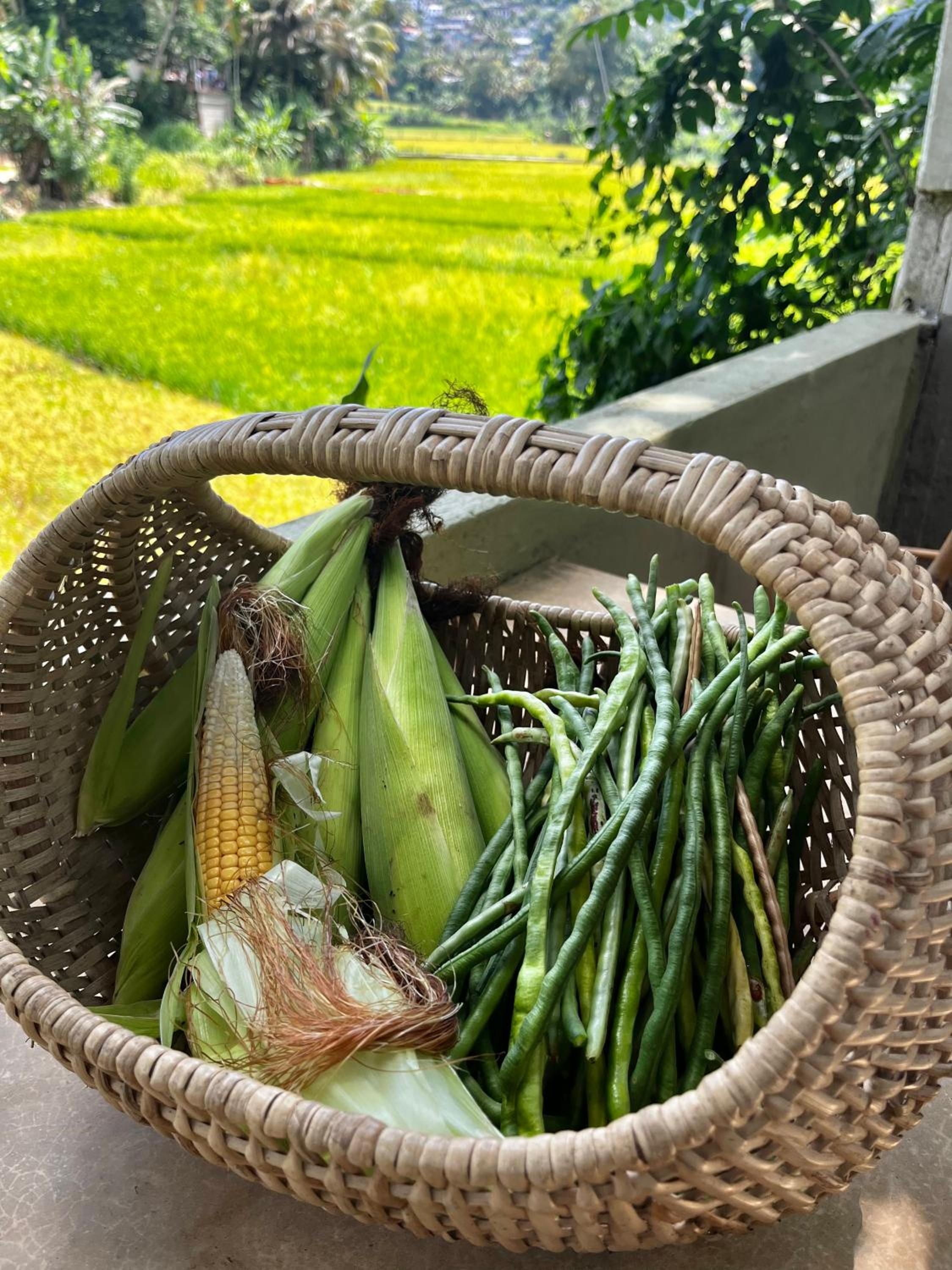 Kandy Living Homestay