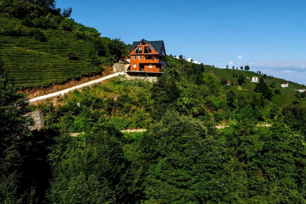 Villa Emir