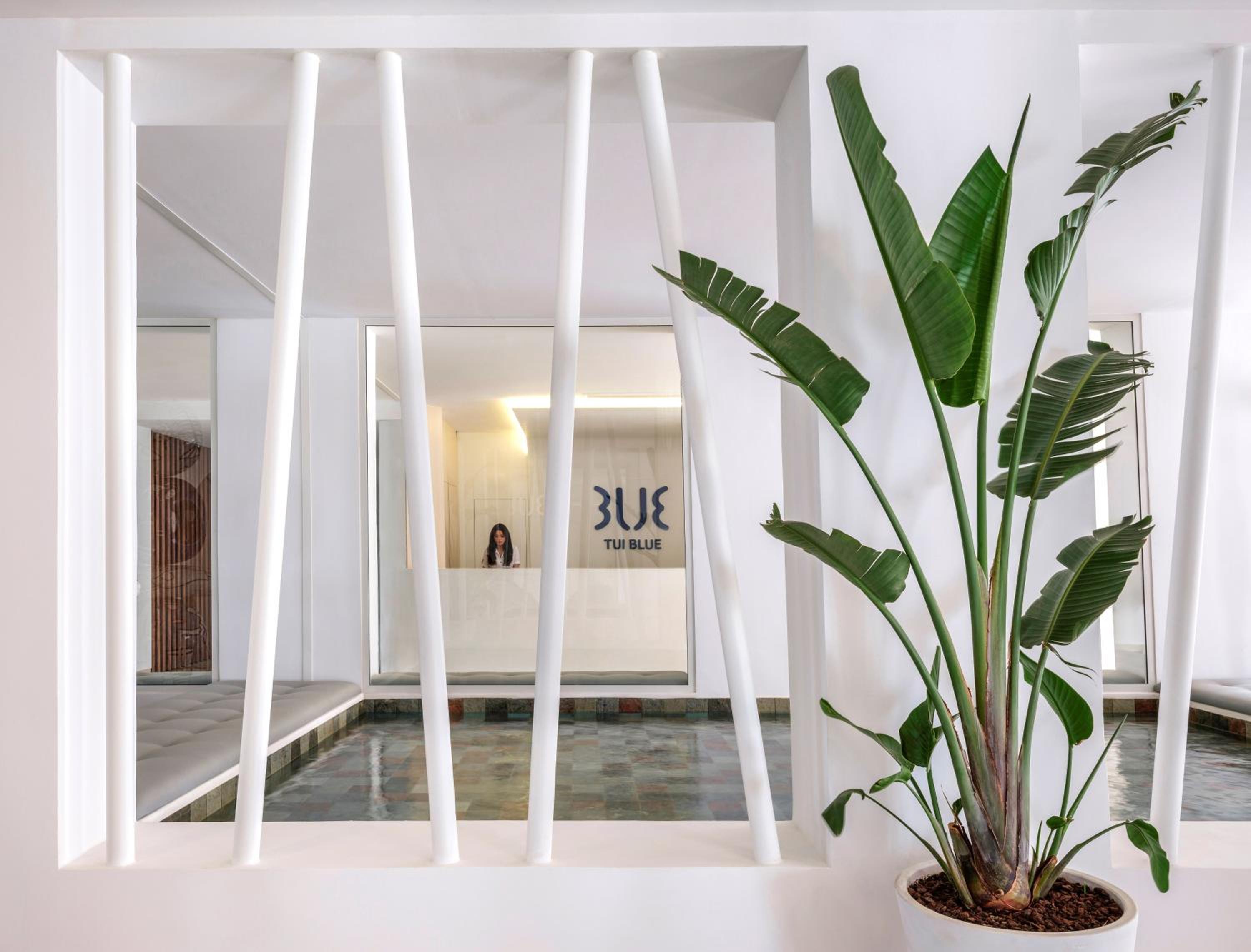 Hammamet Vacations - TUI BLUE Palm Beach Hammamet - Property Image 2
