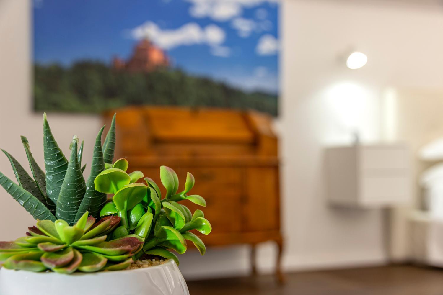 Righi Suite Apartment photo 4