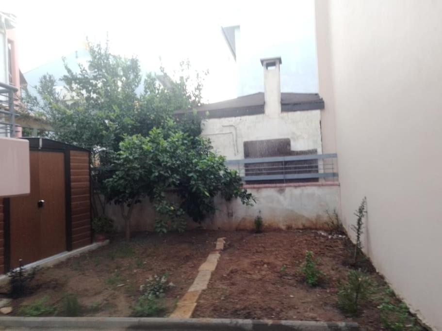 Rodiou house project