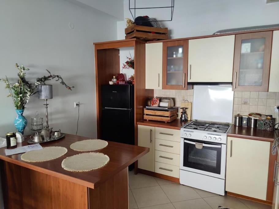 Rodiou house project