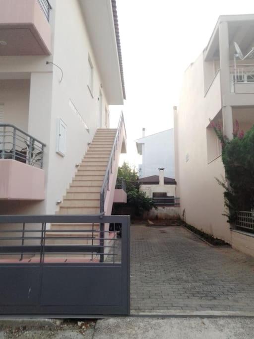 Rodiou house project