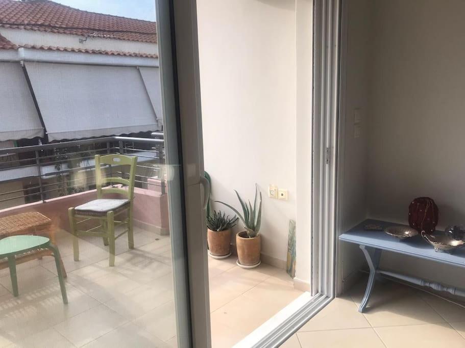 Rodiou house project