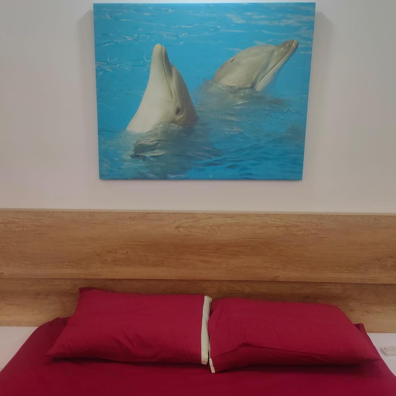Hurghada Palma Resort Studio
