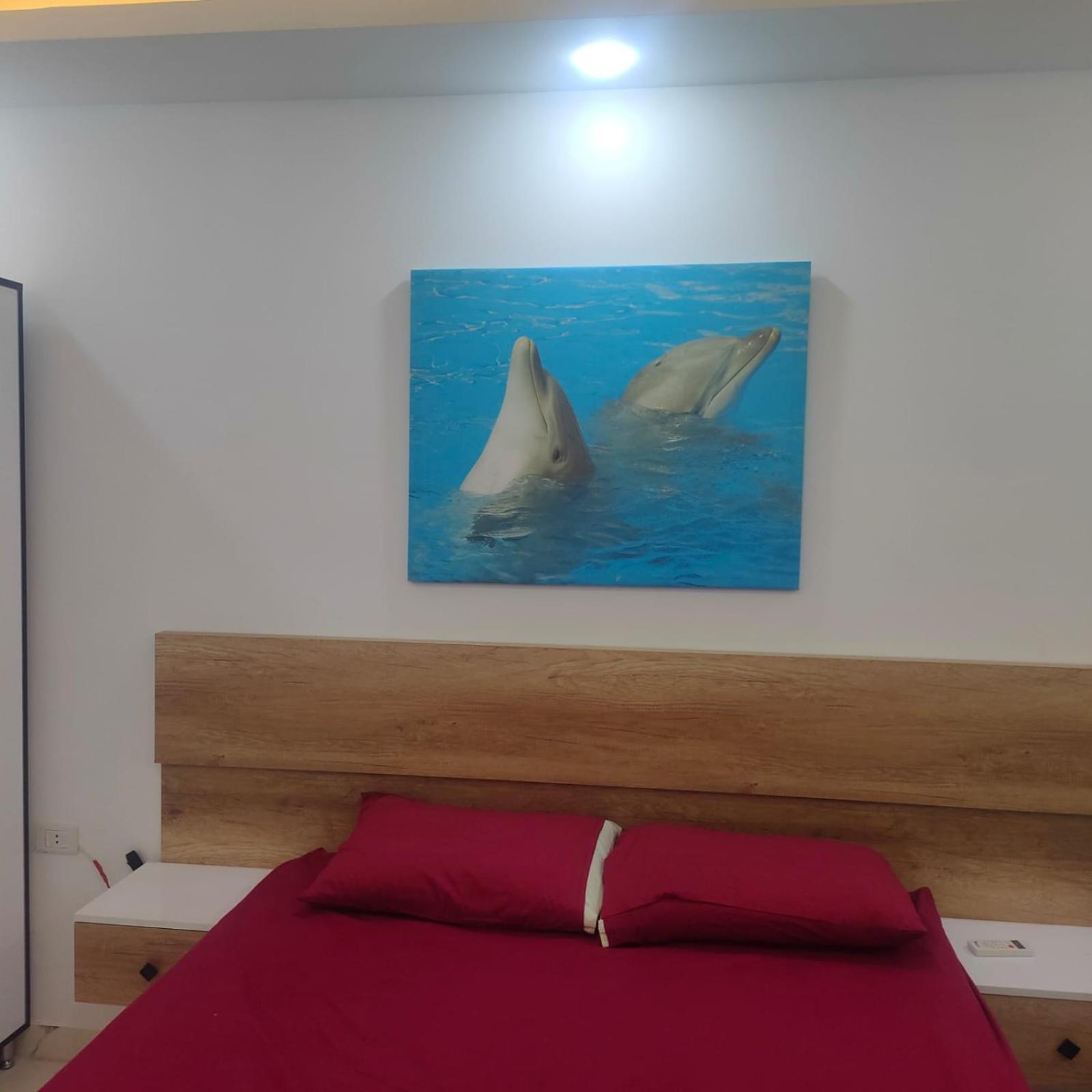 Hurghada Palma Resort Studio
