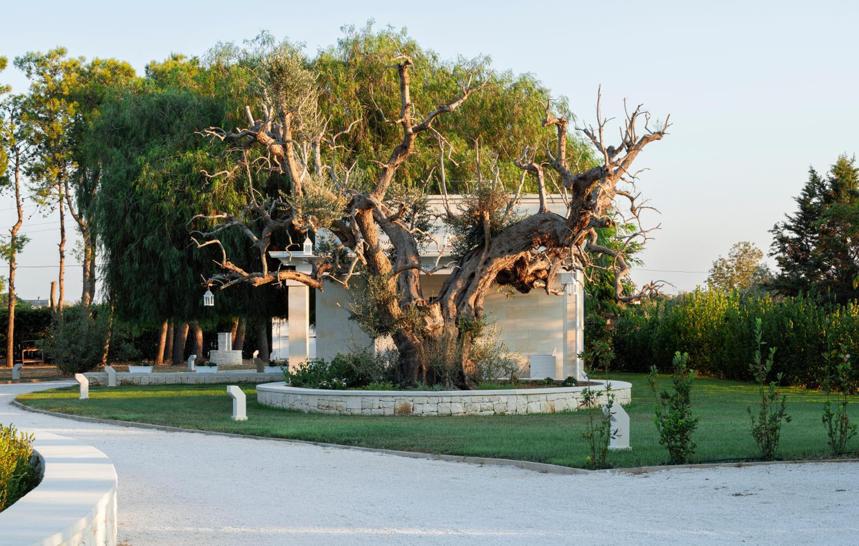 Villa experience in Apulia, Dimora Zammarrico