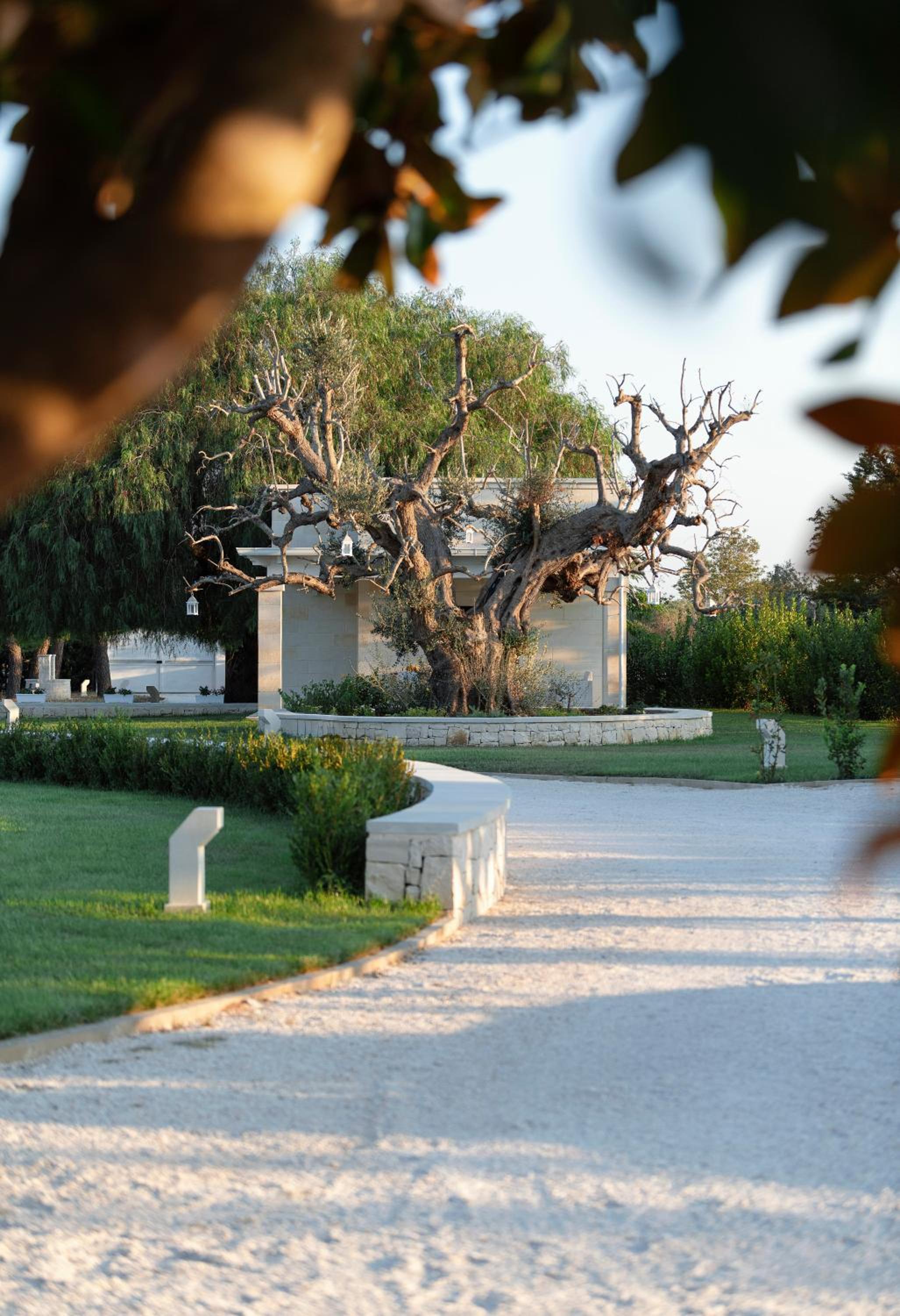 Villa experience in Apulia, Dimora Zammarrico