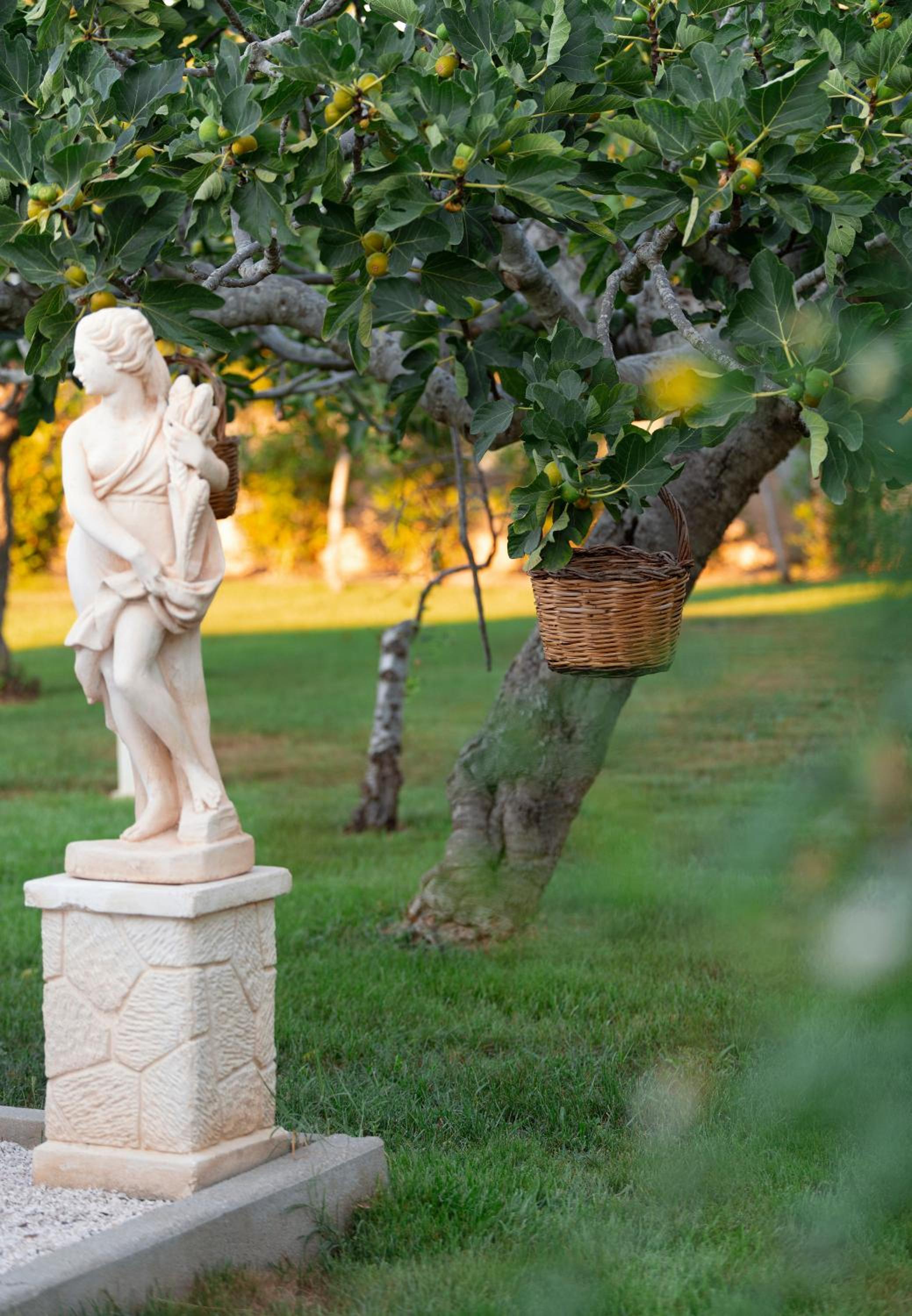 Villa experience in Apulia, Dimora Zammarrico