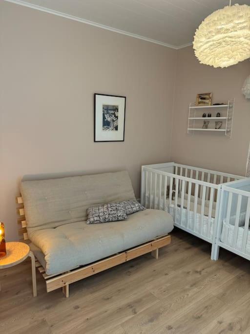 Arctic elegance for families