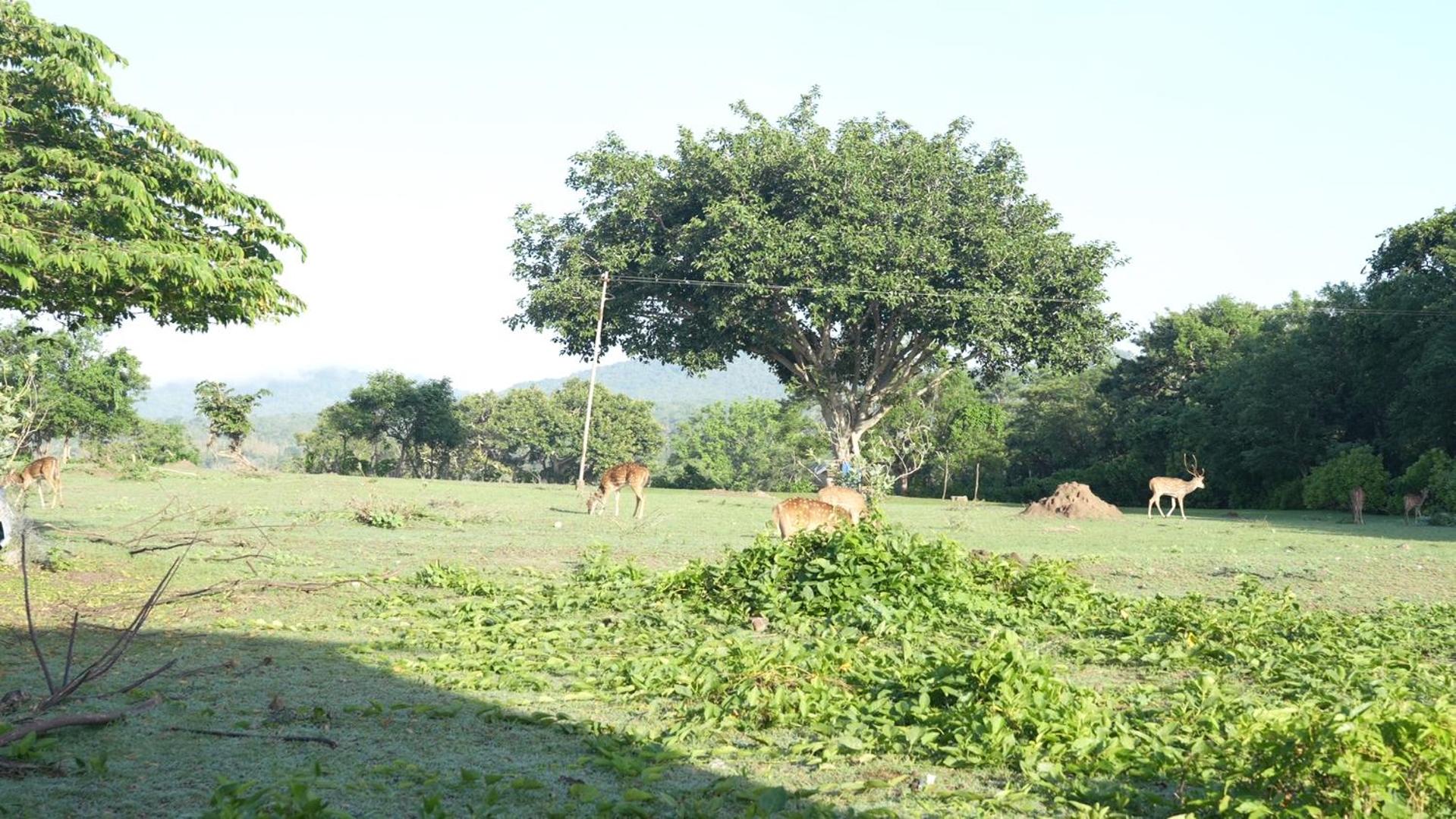 Photo 28