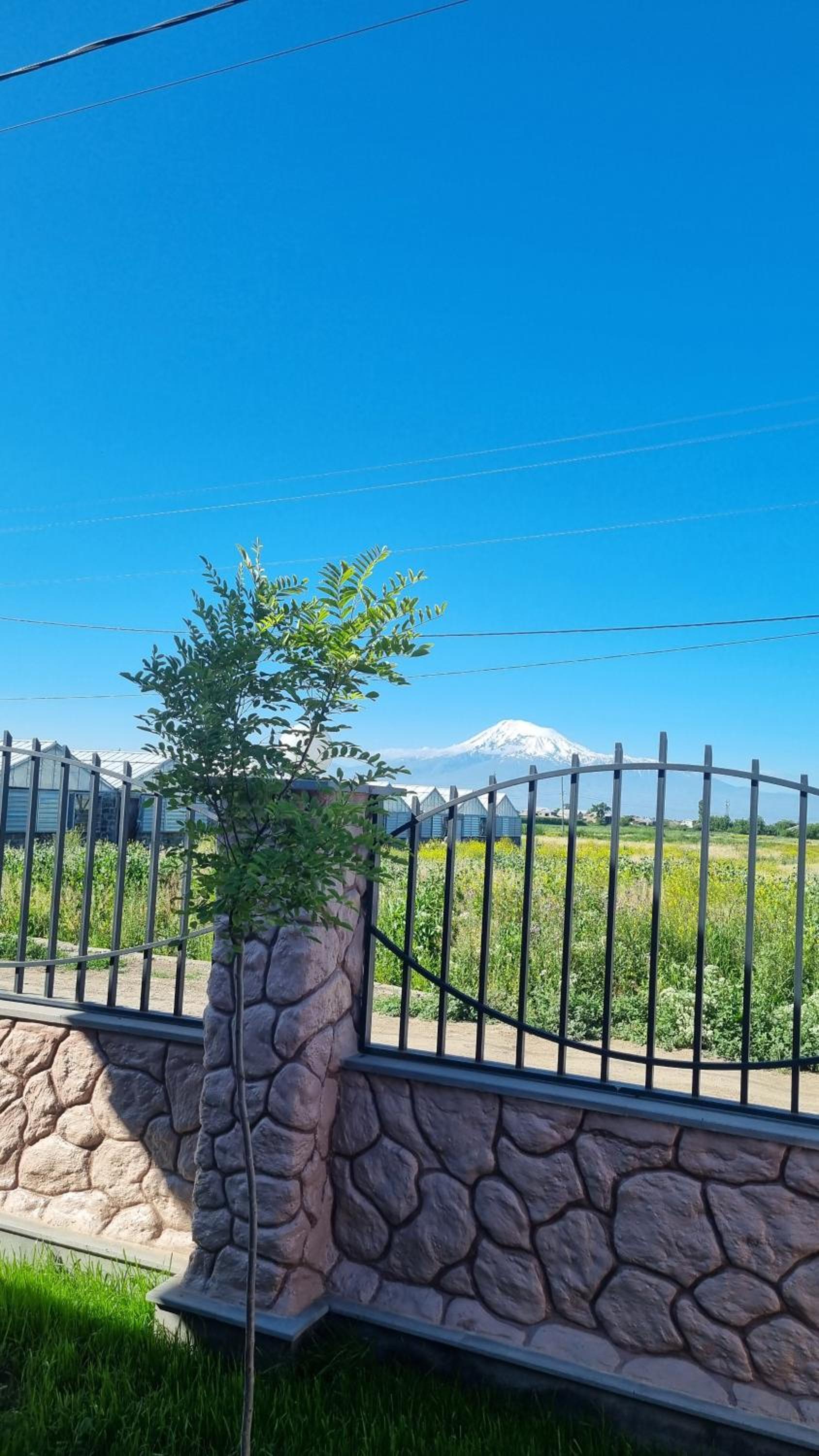 Zhamkochyan Guest House