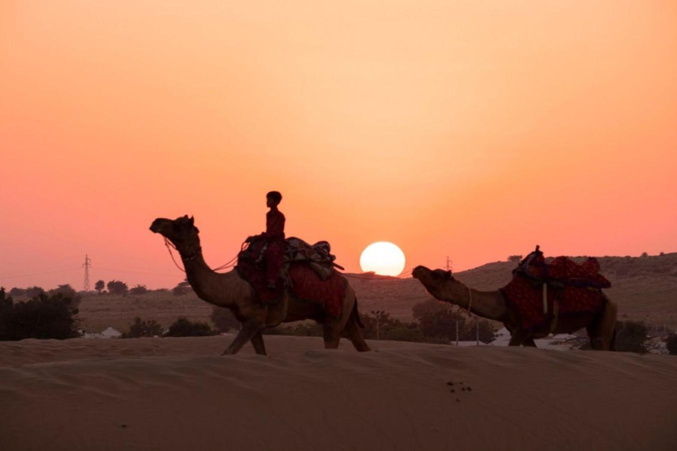 Explore Hostel Life Jaisalmer