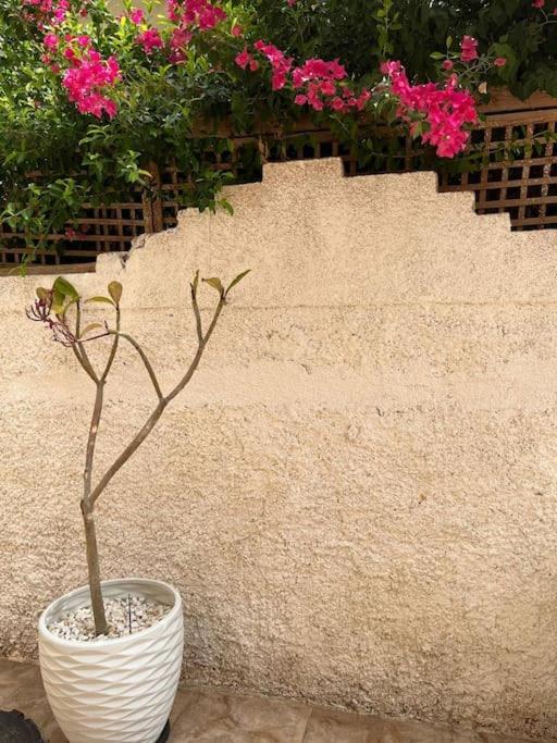 Hotel lovely studio - Image 1