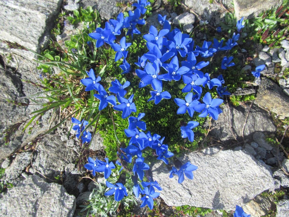 Klampererhof