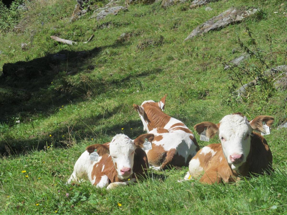 Klampererhof