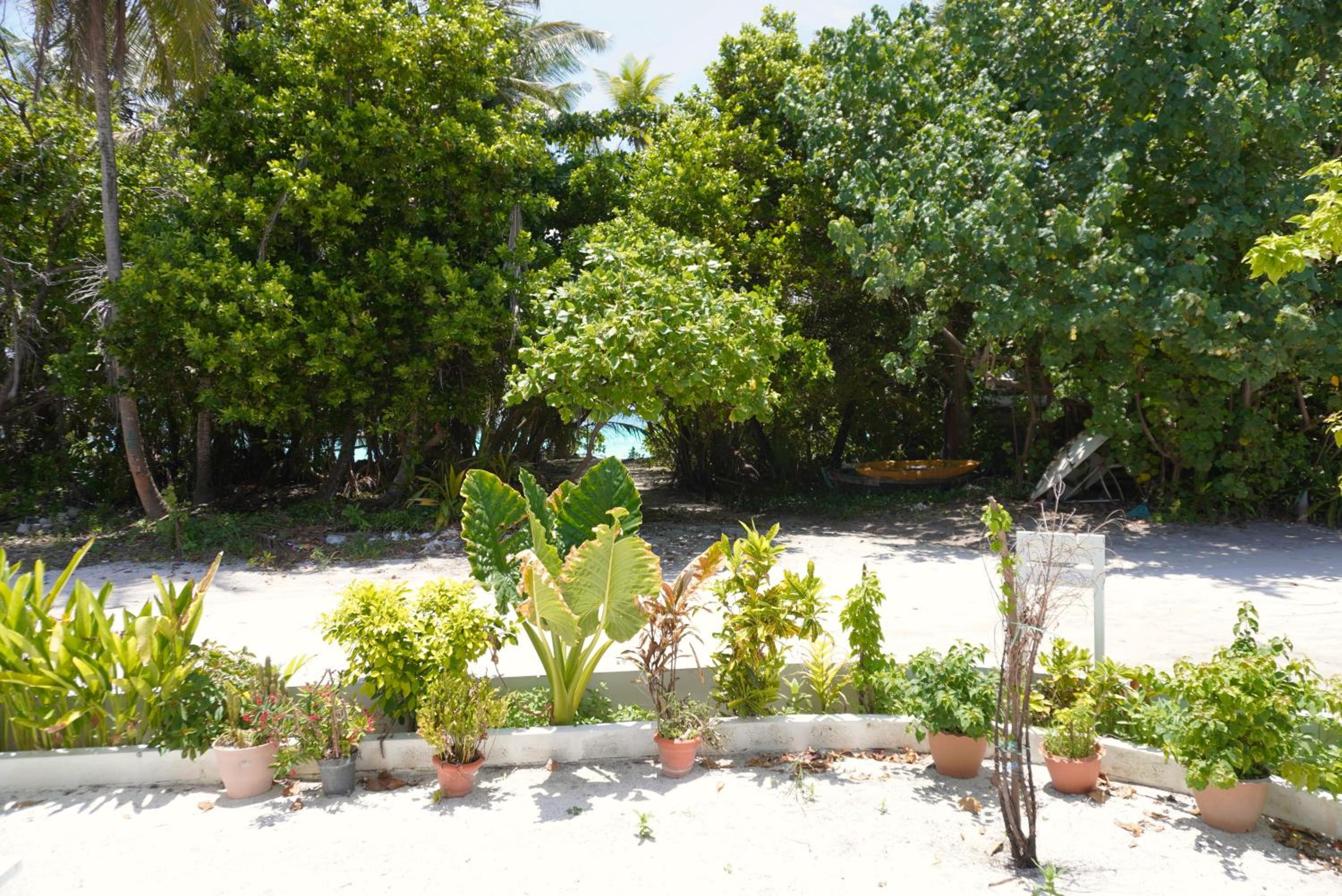 TME Retreats Dhigurah