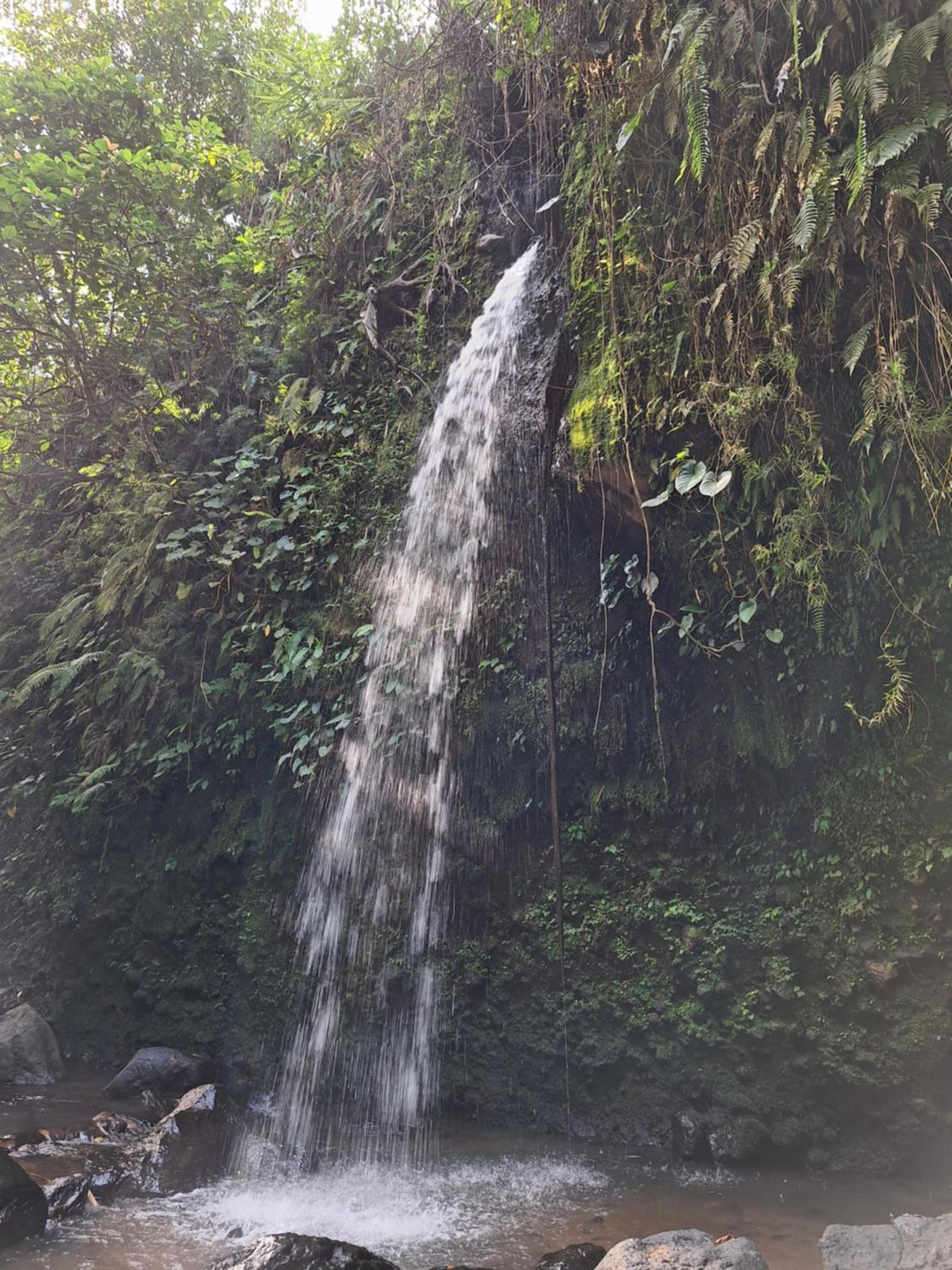 Photo 25