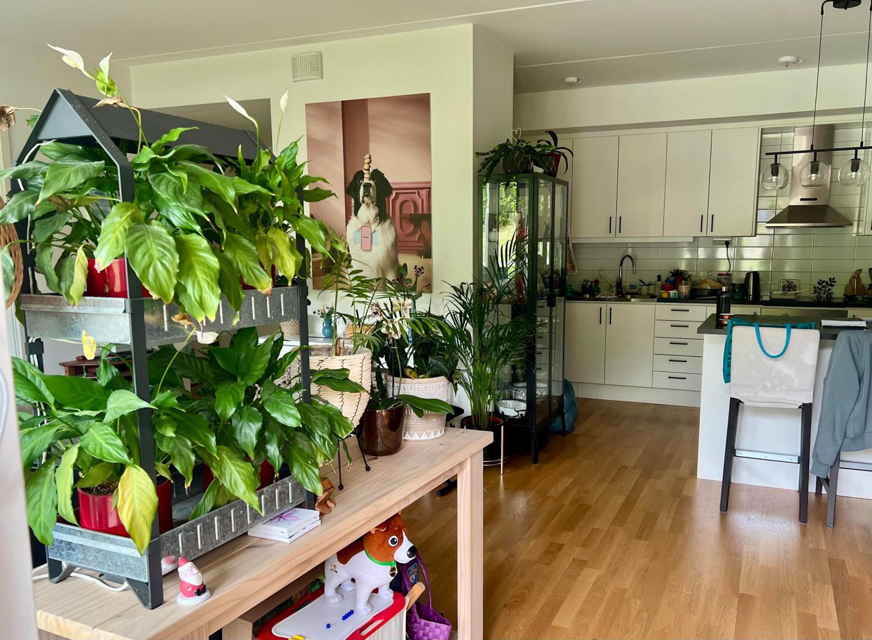Cozy place for family or friends