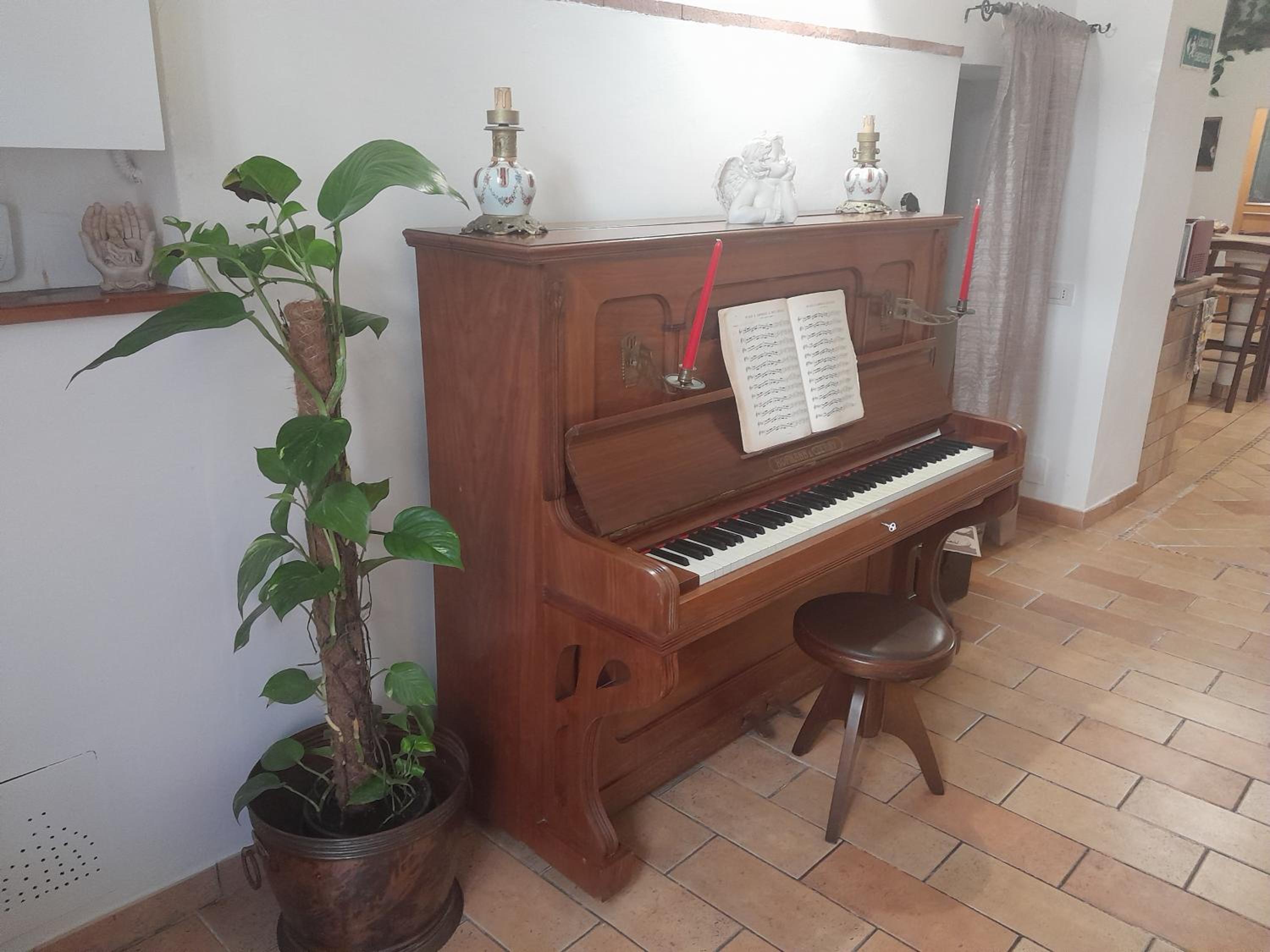 DOMUS GELSOMINO