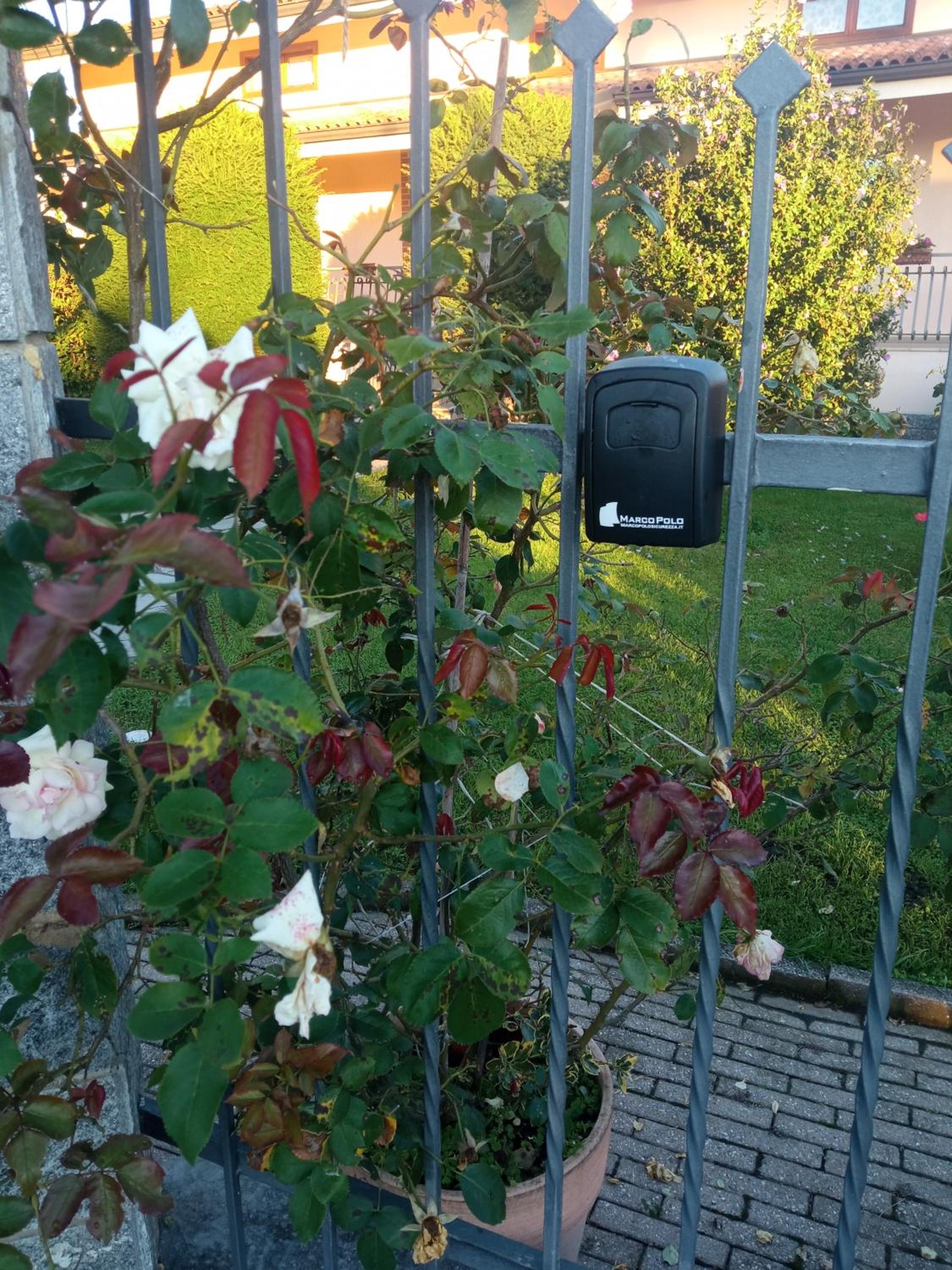 B&B L'Ortensia
