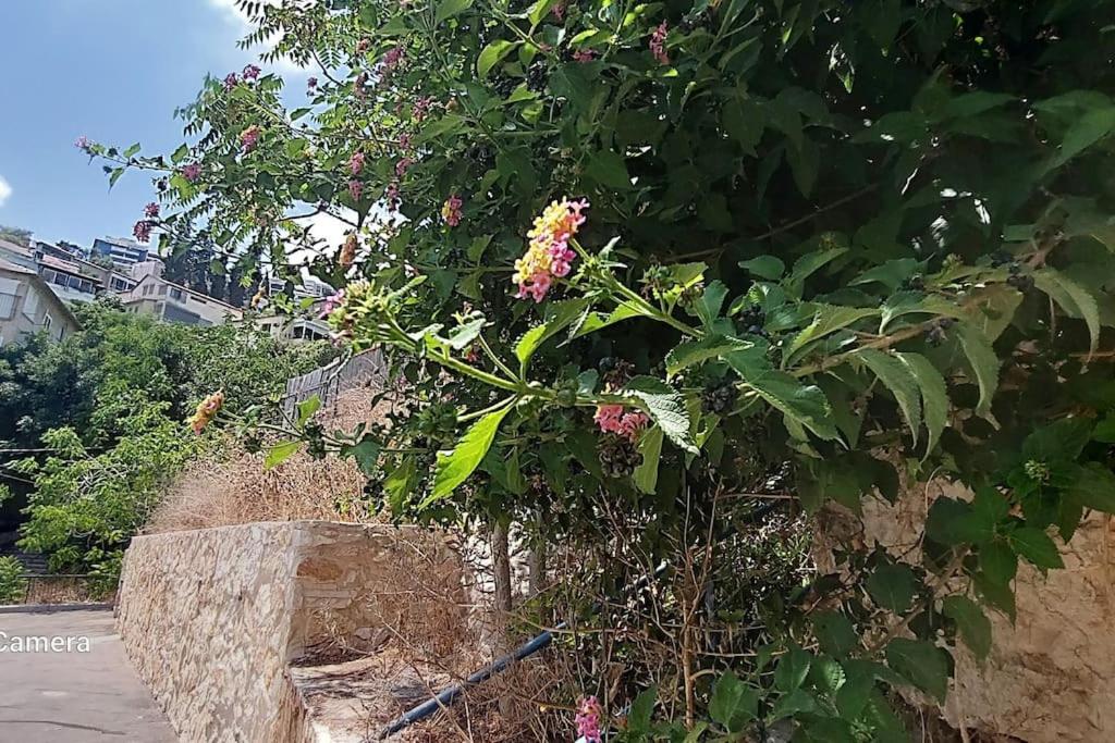 Vacation at Hadar Haifa - Peaceful Place view 3