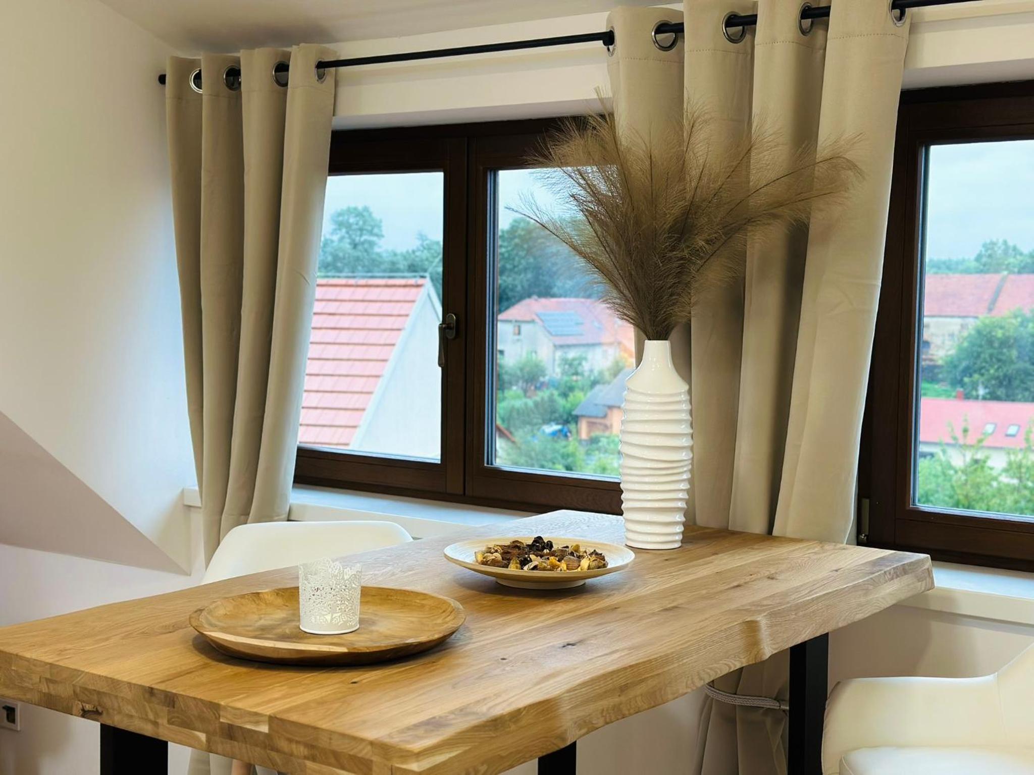 STUDIO KRÁLOVICE Apartment