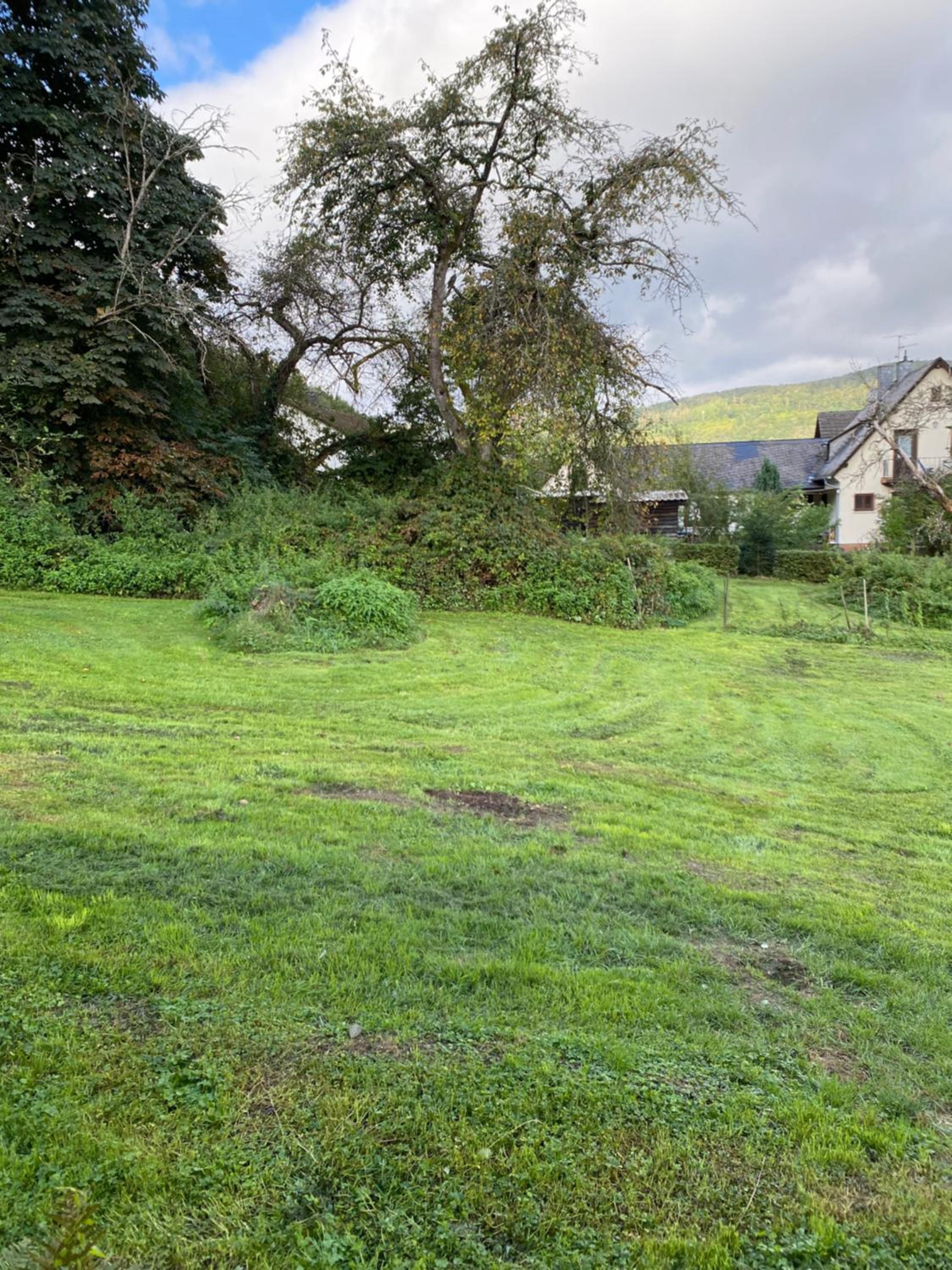 Ferienwohnung Rockenbach