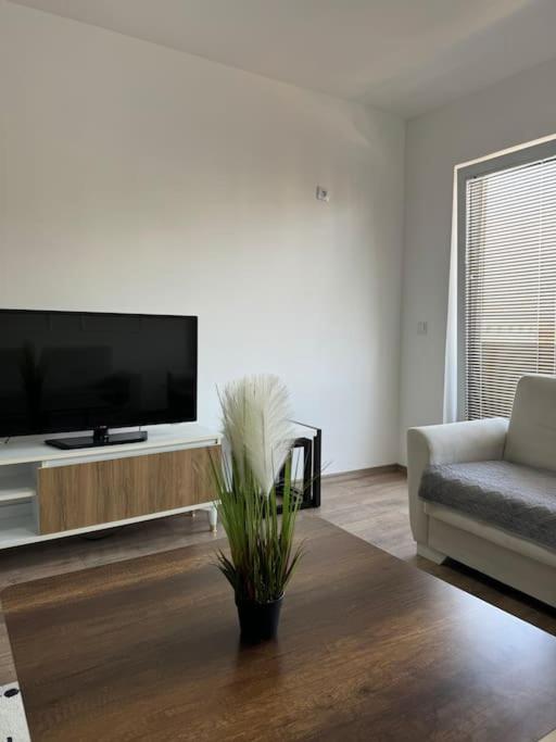 Ardi Apartaments 3, photo 8