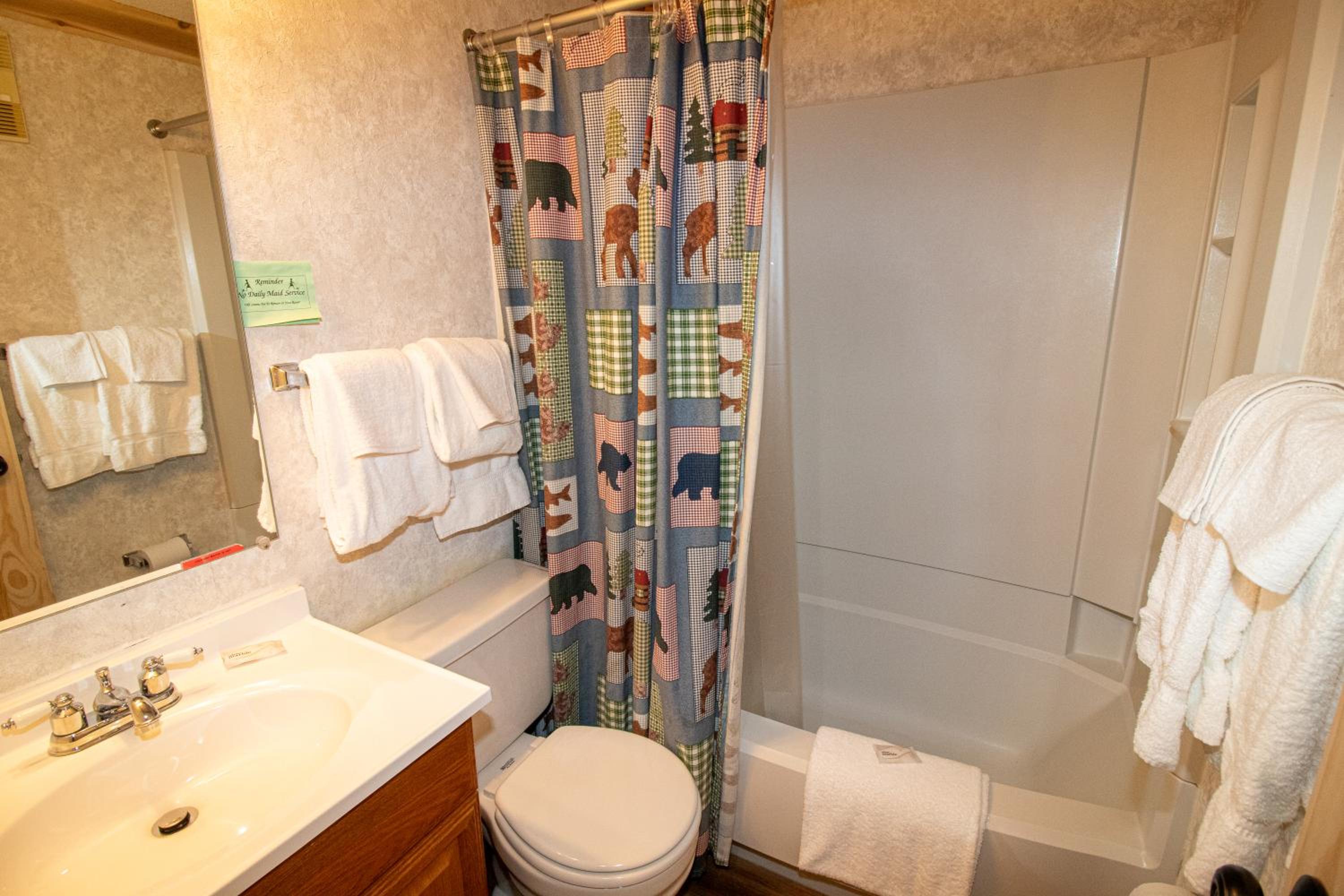 ML132 Quaint Rustic condo Mountain views 1st Floor WiFi EZ park view 4