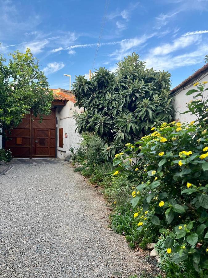 Casa di Rosy view 4