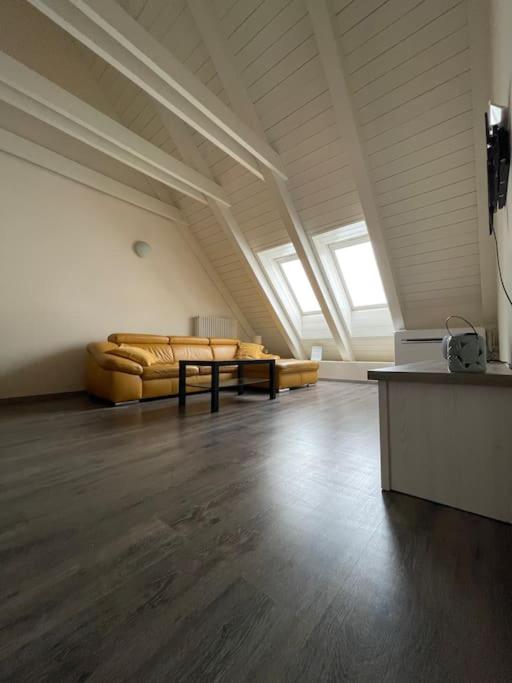 Apartmán v podkroví Malý Paríž