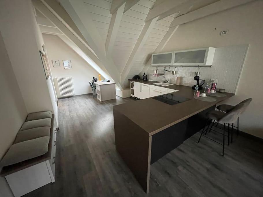 Apartmán v podkroví Malý Paríž