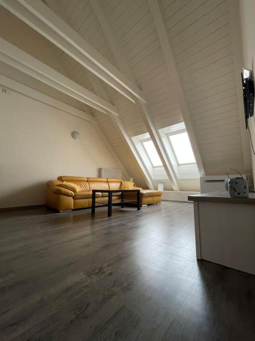 Apartmán v podkroví Malý Paríž