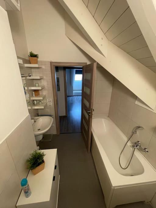 Apartmán v podkroví Malý Paríž