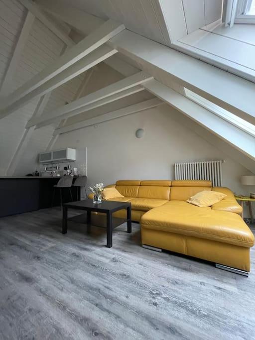 Apartmán v podkroví Malý Paríž