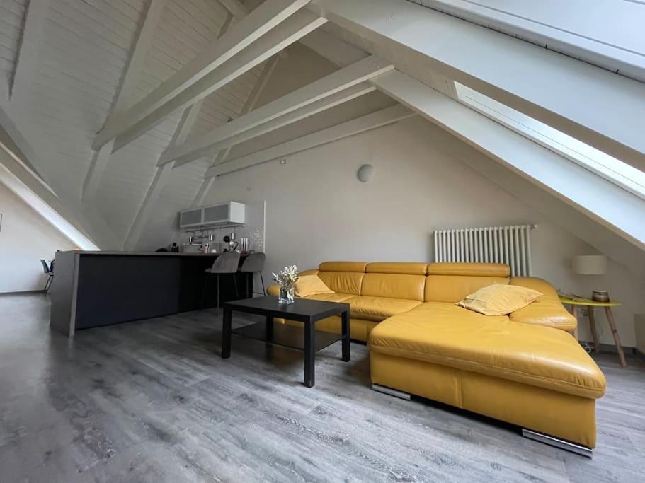 Apartmán v podkroví Malý Paríž