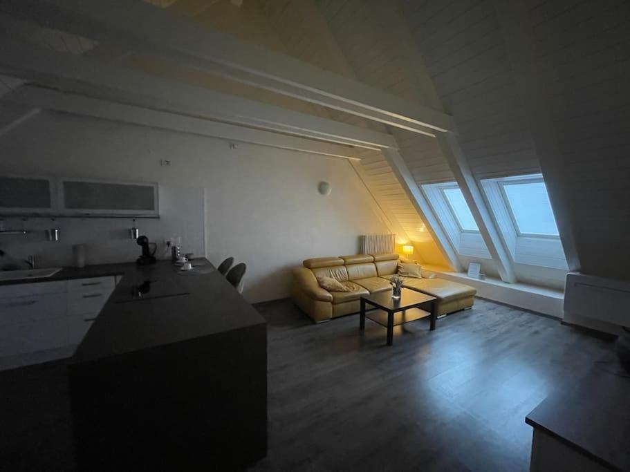 Apartmán v podkroví Malý Paríž