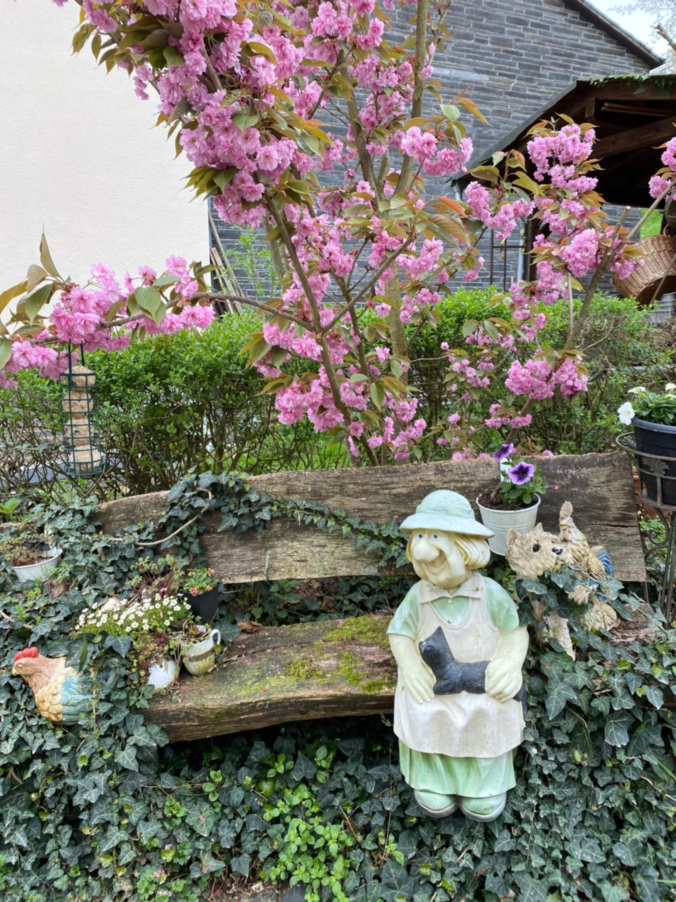 Ferienwohnung Rockenbach