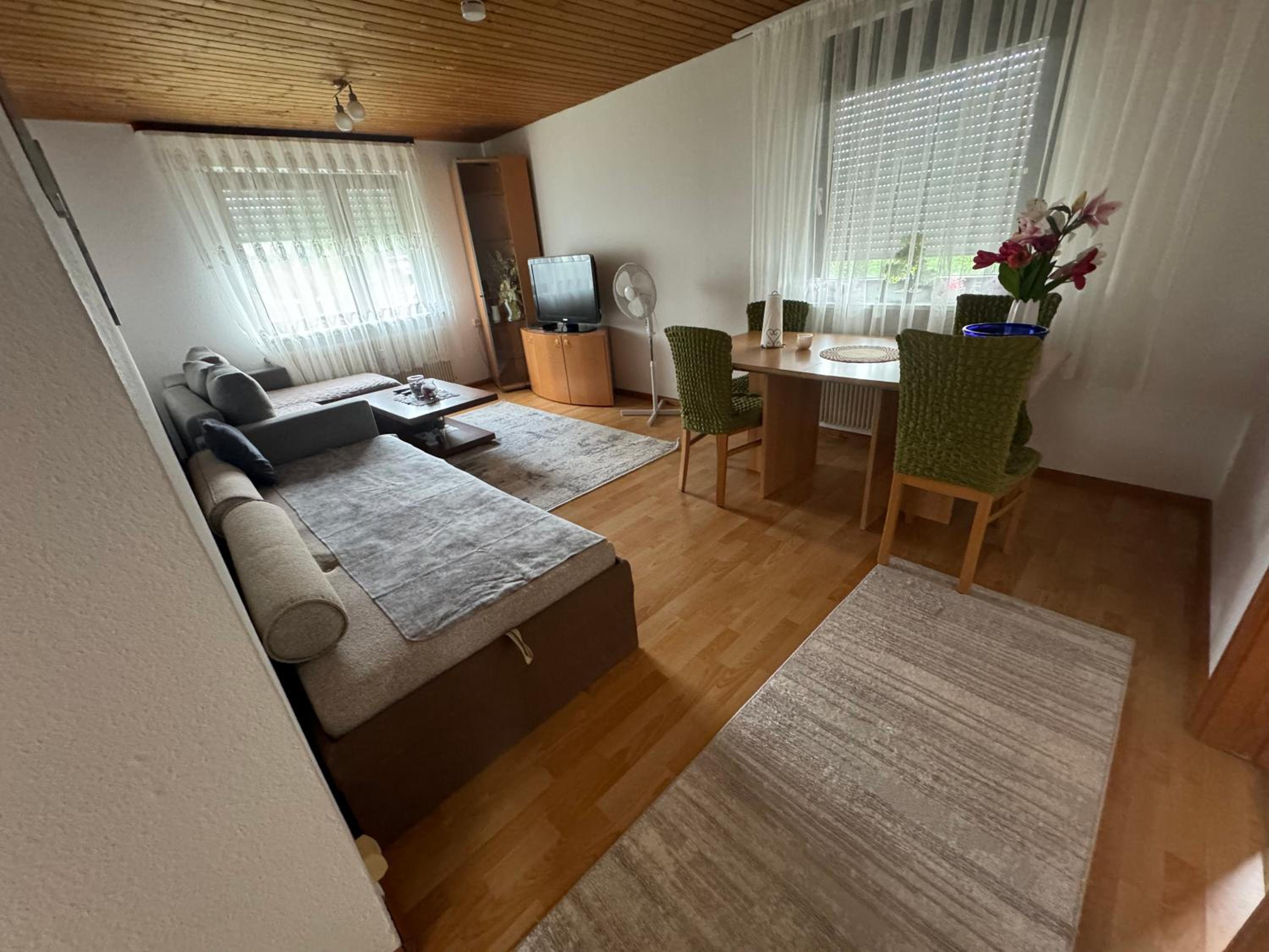 Apartment Menesa