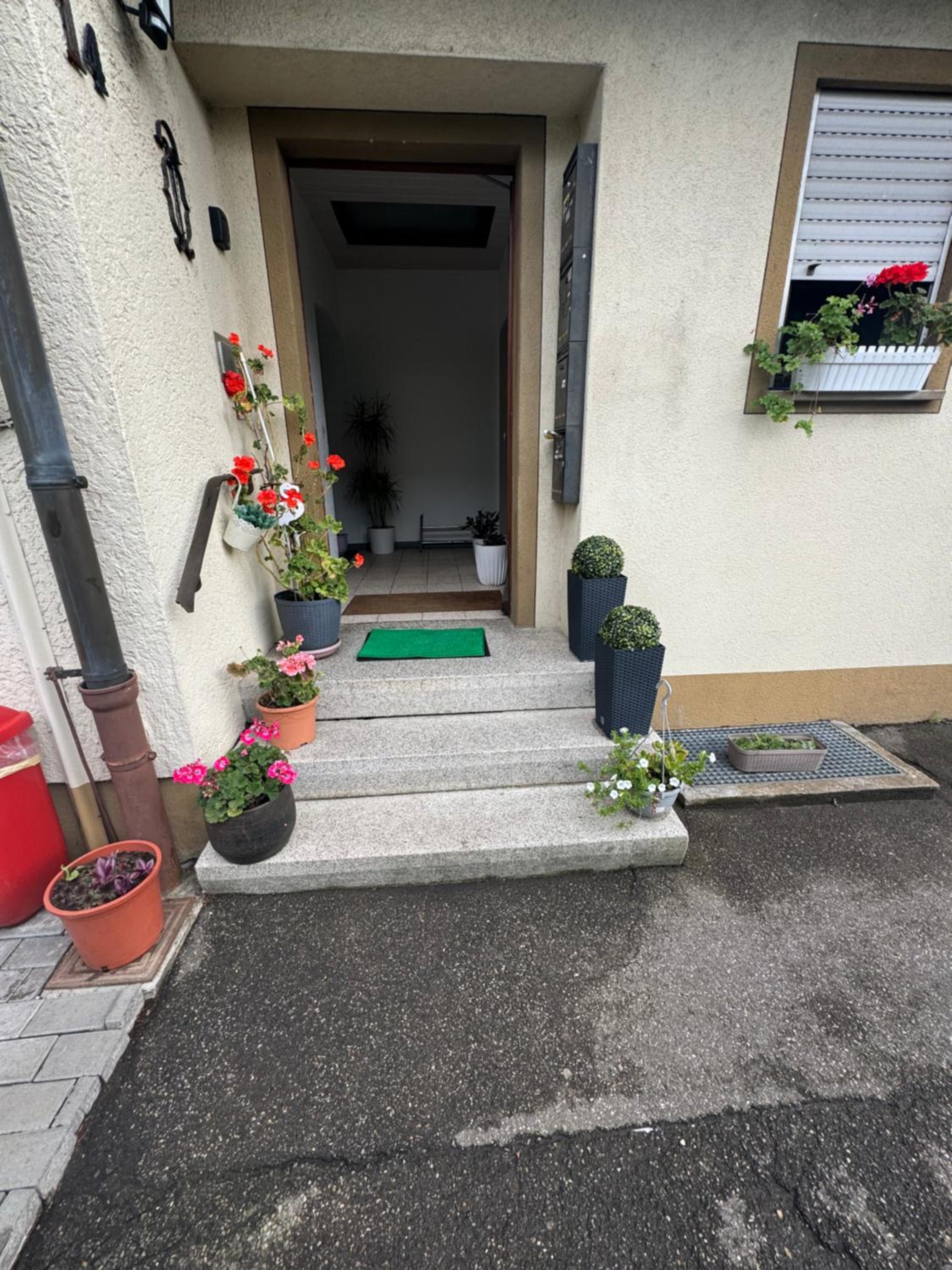 Apartment Menesa
